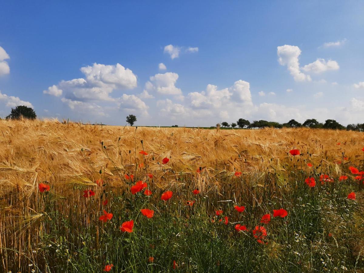 Holiday home Drie Beutenaken
