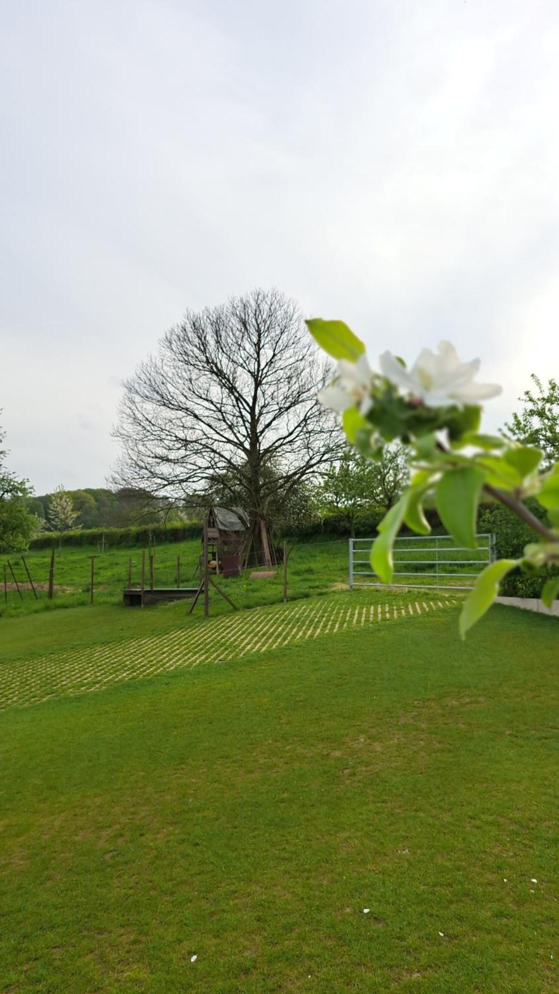 Holiday home Drie